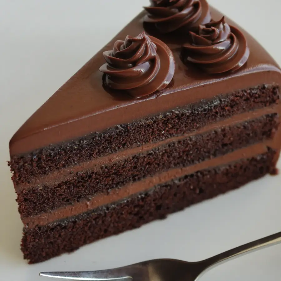 Belgian Cake (close up view) – eggless cake from Mohit Bakery