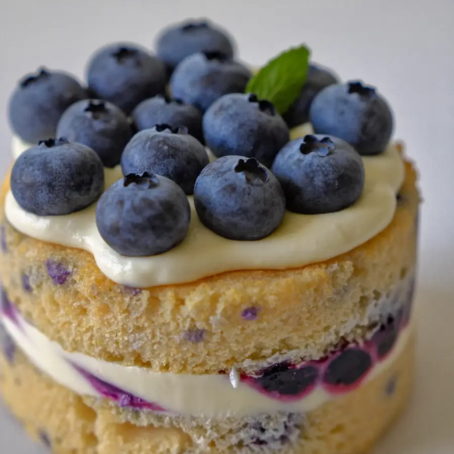 Blueberry Cake (close up view) – eggless cake from Mohit Bakery