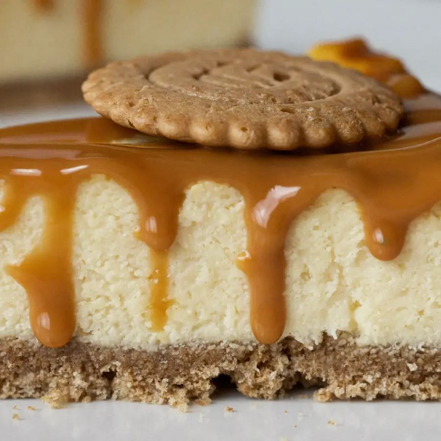 Cheese Cake Biscoff (close up view) – eggless cake from Mohit Bakery
