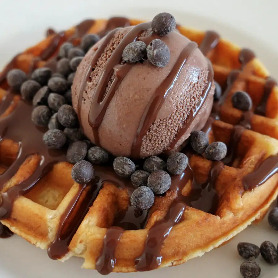 Choco Chocochips Waffle (close up view) – eggless waffle from Mohit Bakery