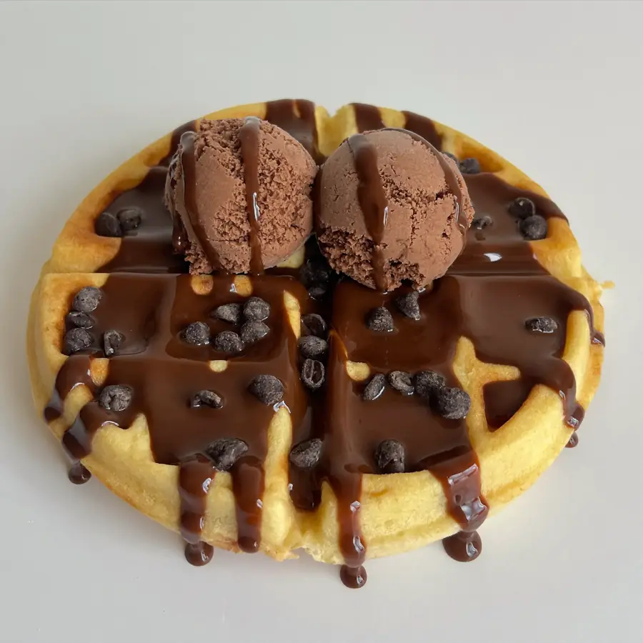 Double Choco Chocochips Waffle (front view) – eggless waffle from Mohit Bakery
