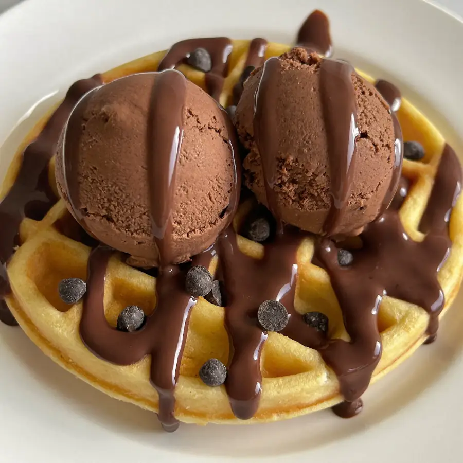 Double Choco Chocochips Waffle (close up view) – eggless waffle from Mohit Bakery
