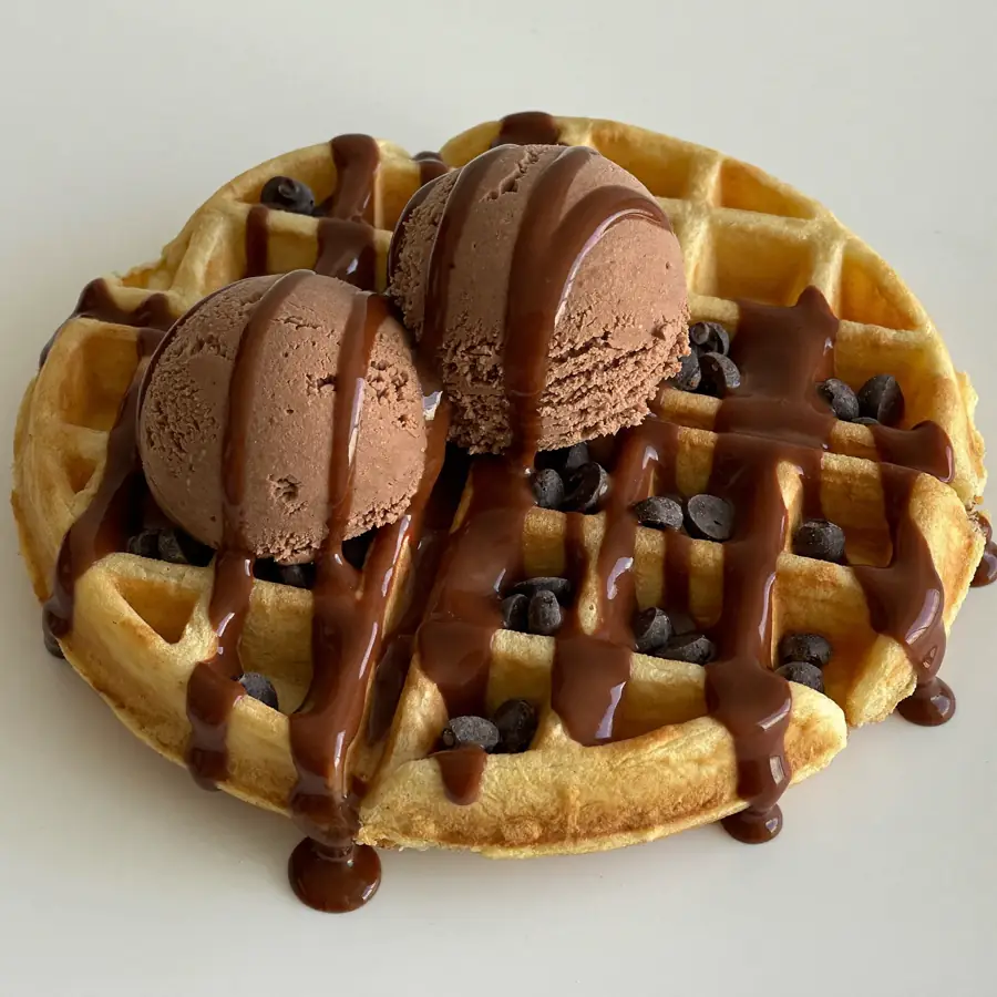 Double Choco Chocochips Waffle (inside view) – eggless waffle from Mohit Bakery