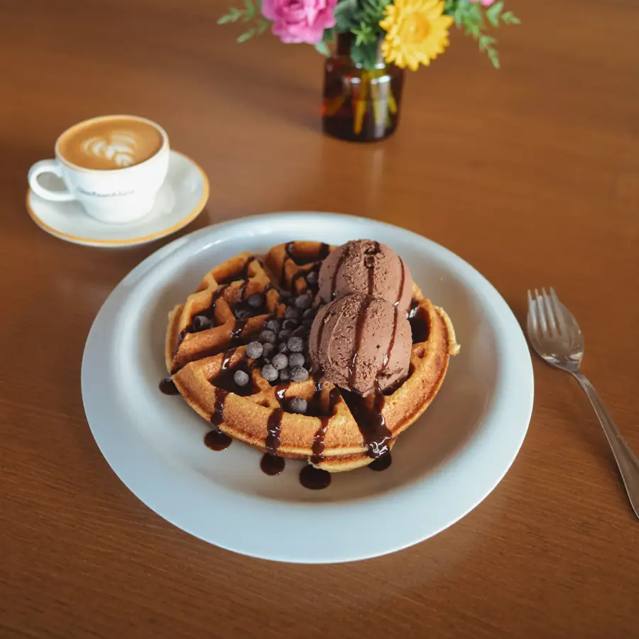 Double Choco Chocochips Waffle (served view) – eggless waffle from Mohit Bakery