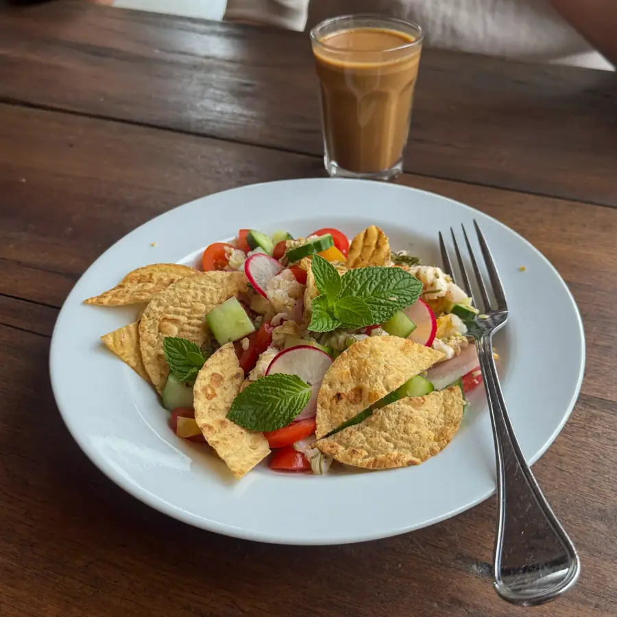 Fattoush Lebanese Salad (served view) – pure veg from Mohit Bakery