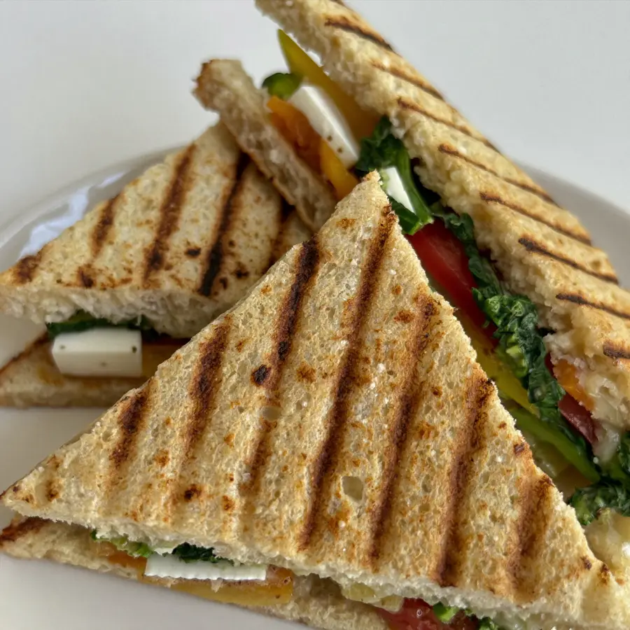 Grilled Sandwich veg Protein Pack (close up view) – pure veg from Mohit Bakery