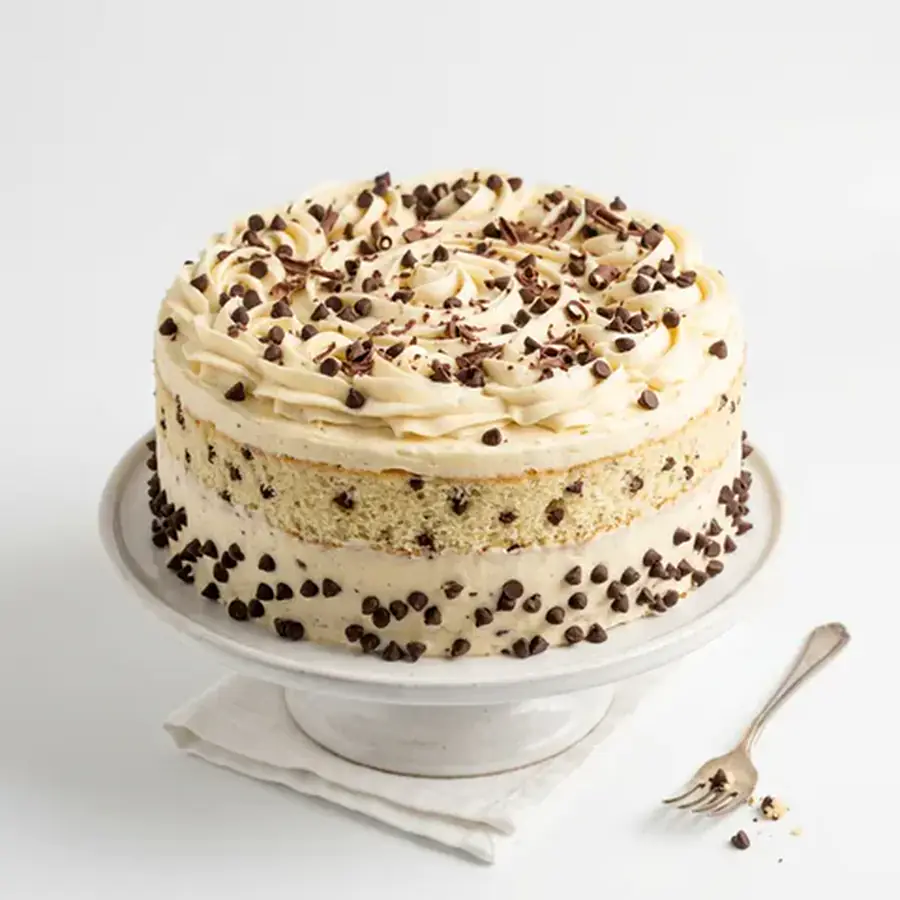 Light Choco Chips Cake (classic view) – eggless cake from Mohit Bakery