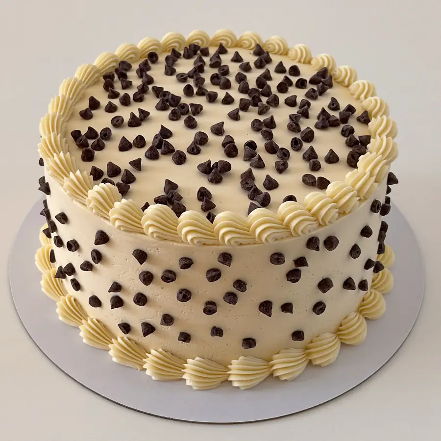 Light Choco Chips Cake (front view) – eggless cake from Mohit Bakery