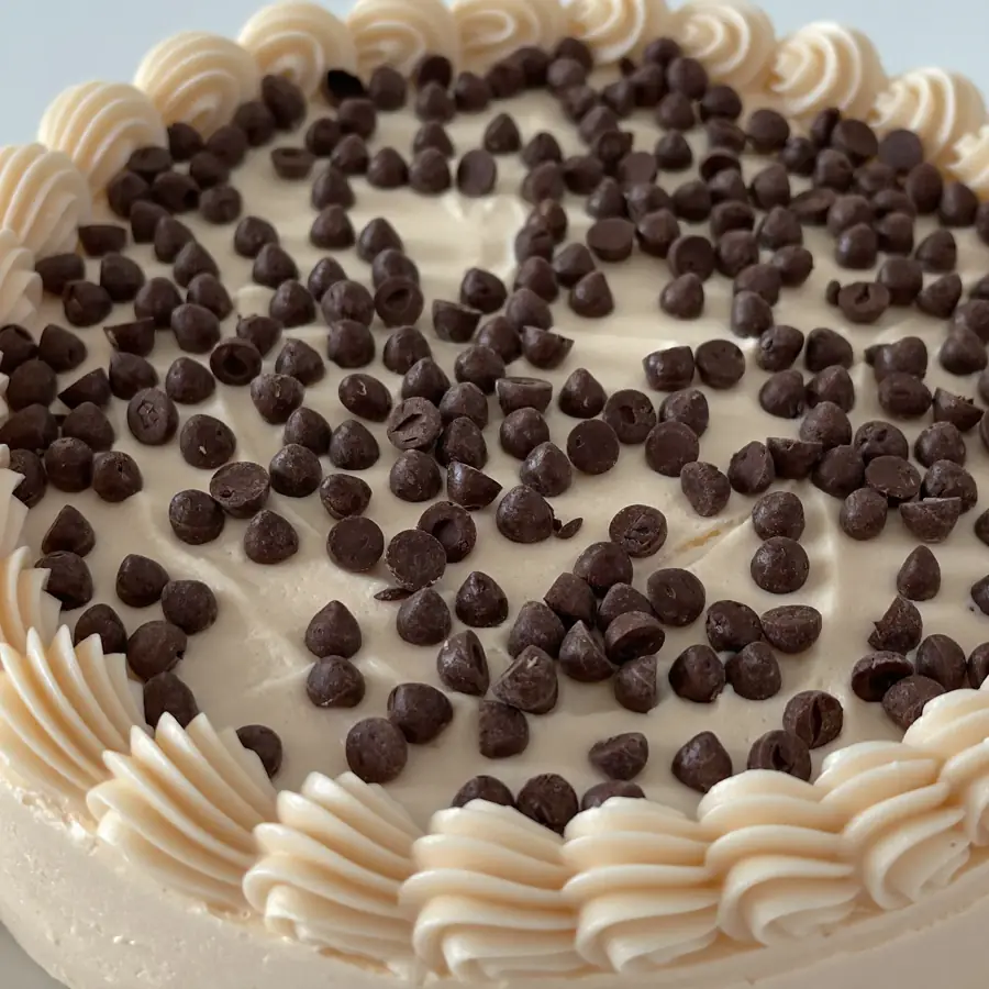 Light Choco Chips Cake (close up view) – eggless cake from Mohit Bakery
