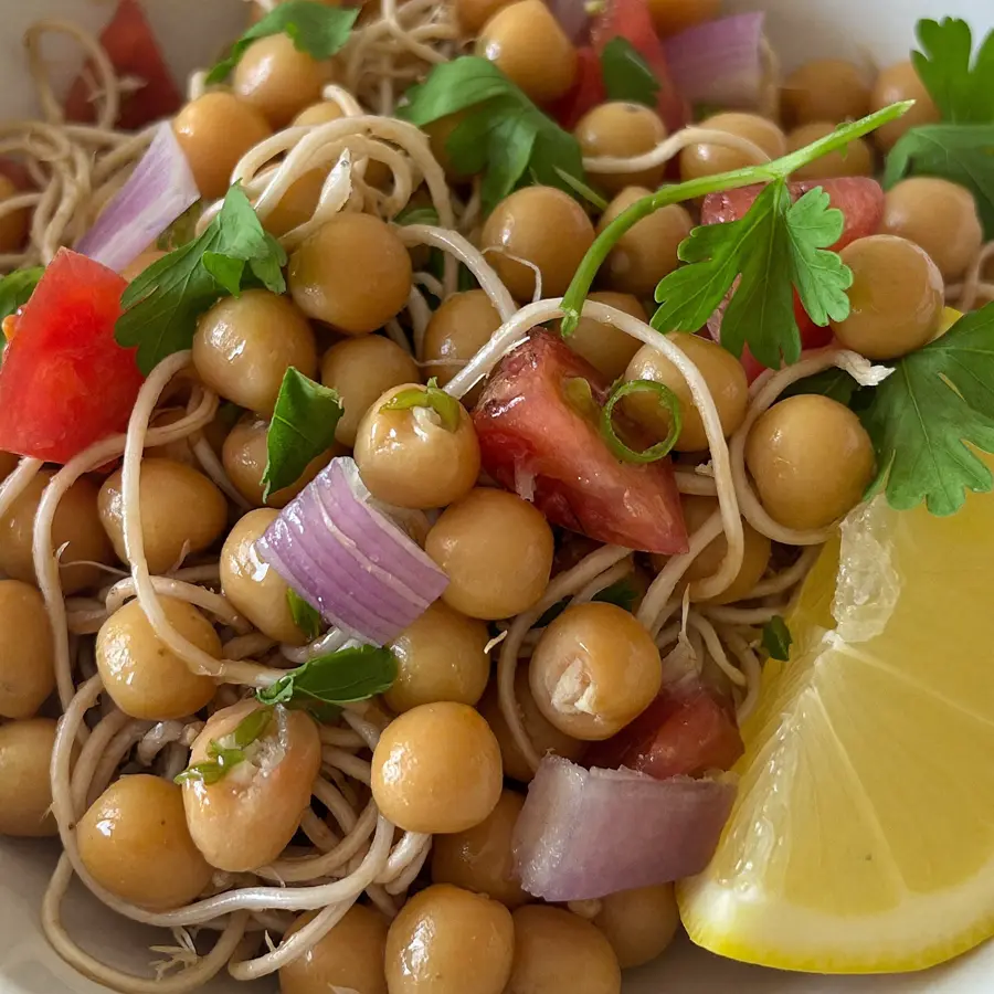 Sprout Diet Salad (close up view) – pure veg from Mohit Bakery