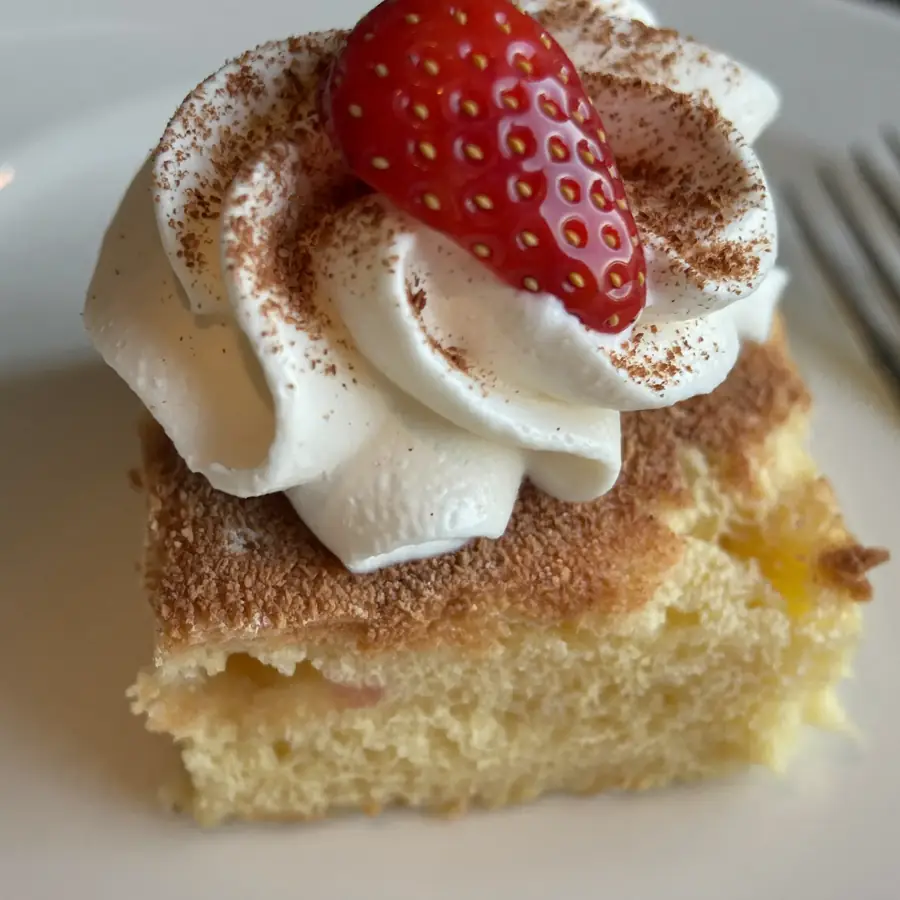 Tres Leches Pastry (close up view) – eggless pastry from Mohit Bakery